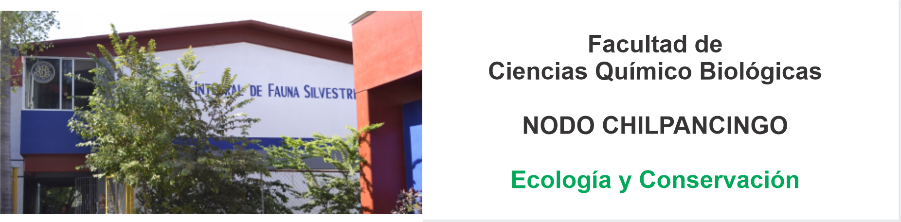 nodo_quimico_biologicas_2