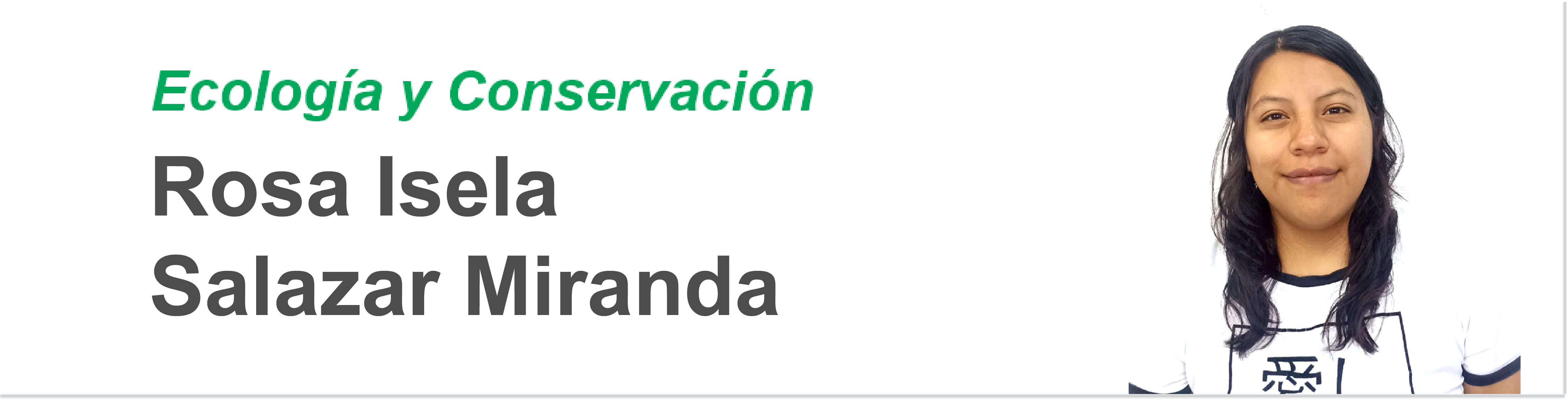 Salazar_Miranda_Rosa_I